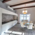 Spectacular Spacious House With Sun Terrace Ilju1-1